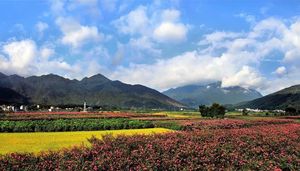 党团活动一天方案