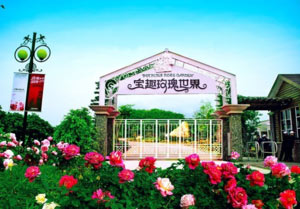 从化西和村  工会妇女活动方案