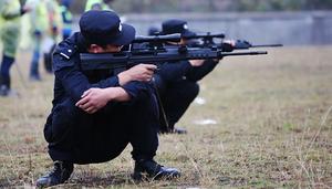 实弹射击训练方案